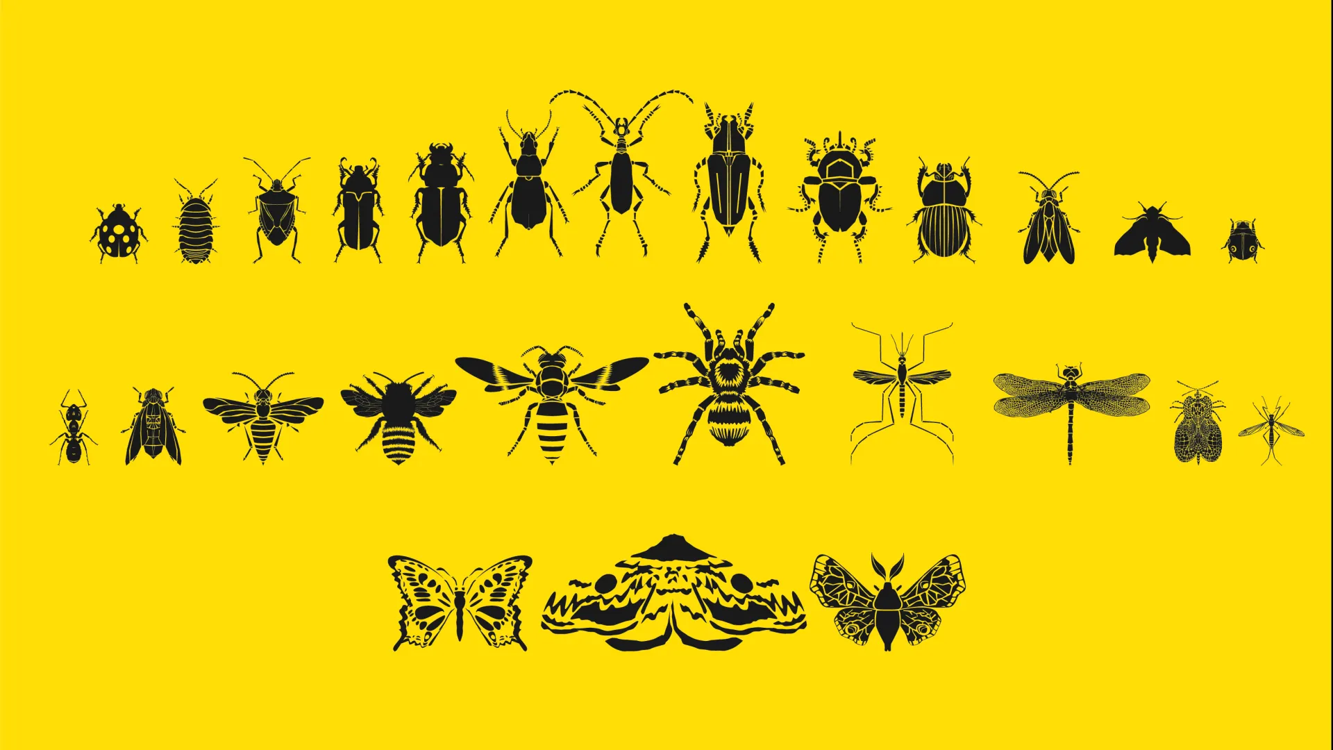 Insektenvielfalt